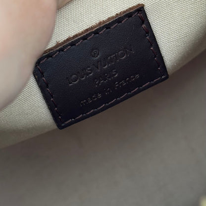 Louis Vuitton Monogram Mini Lin Sac Lucie PM Bag