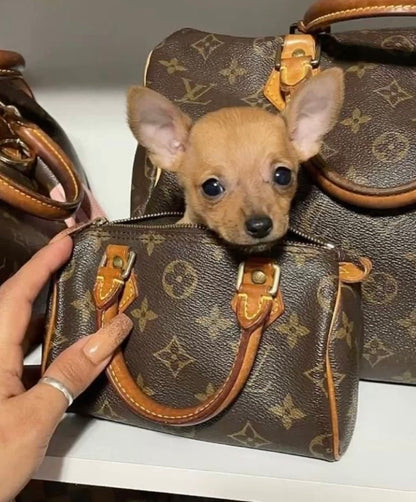 Louis Vuitton Brown Monogram Mini Nano Speedy