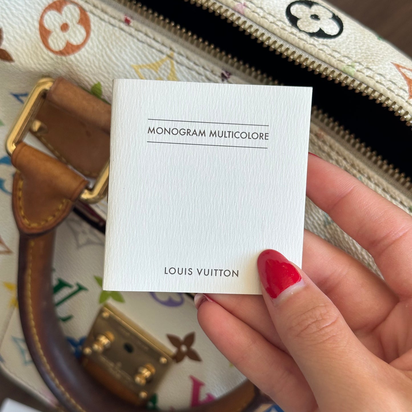 Louis Vuitton Murakami Multicolor Speedy 30