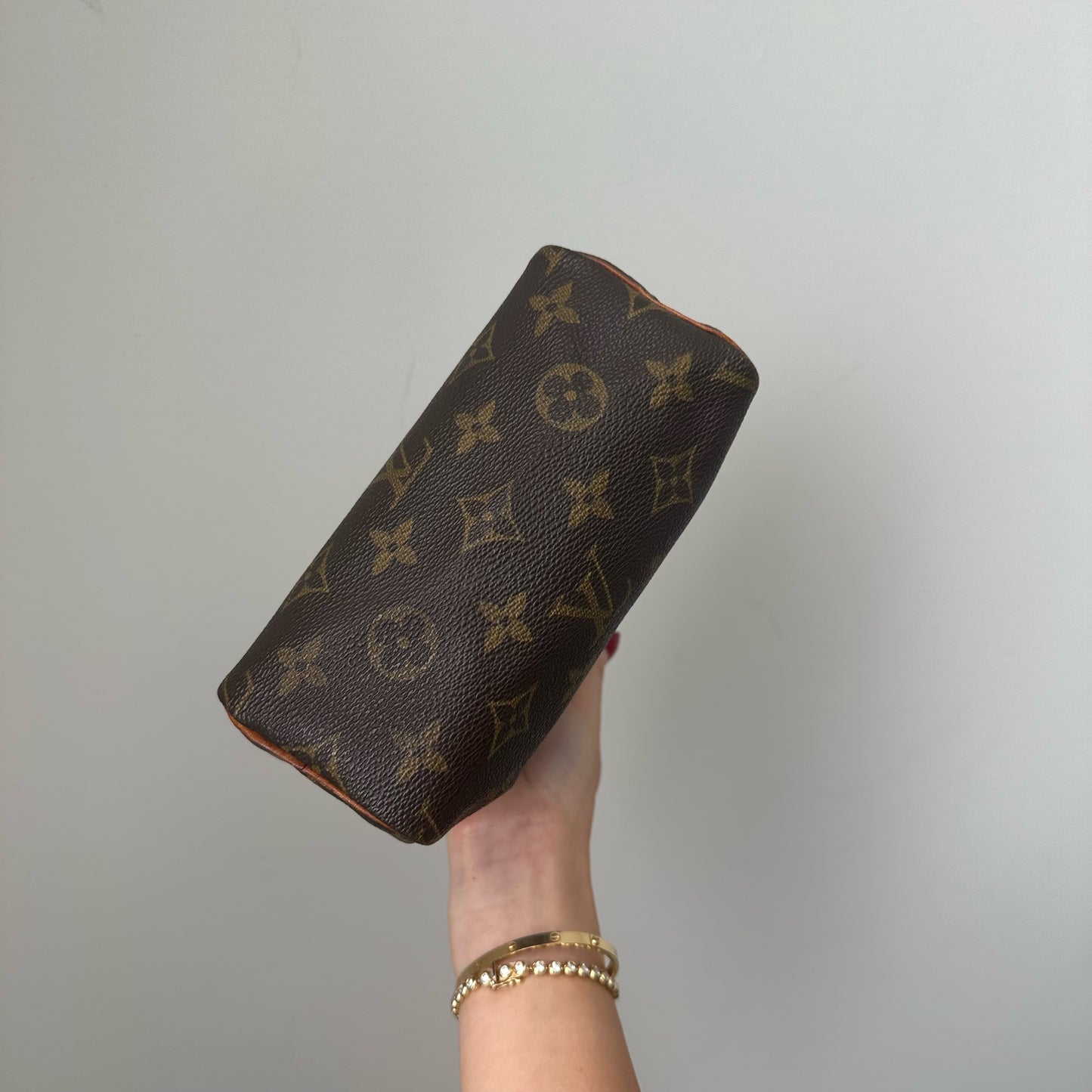 Louis Vuitton Brown Monogram Mini Nano Speedy