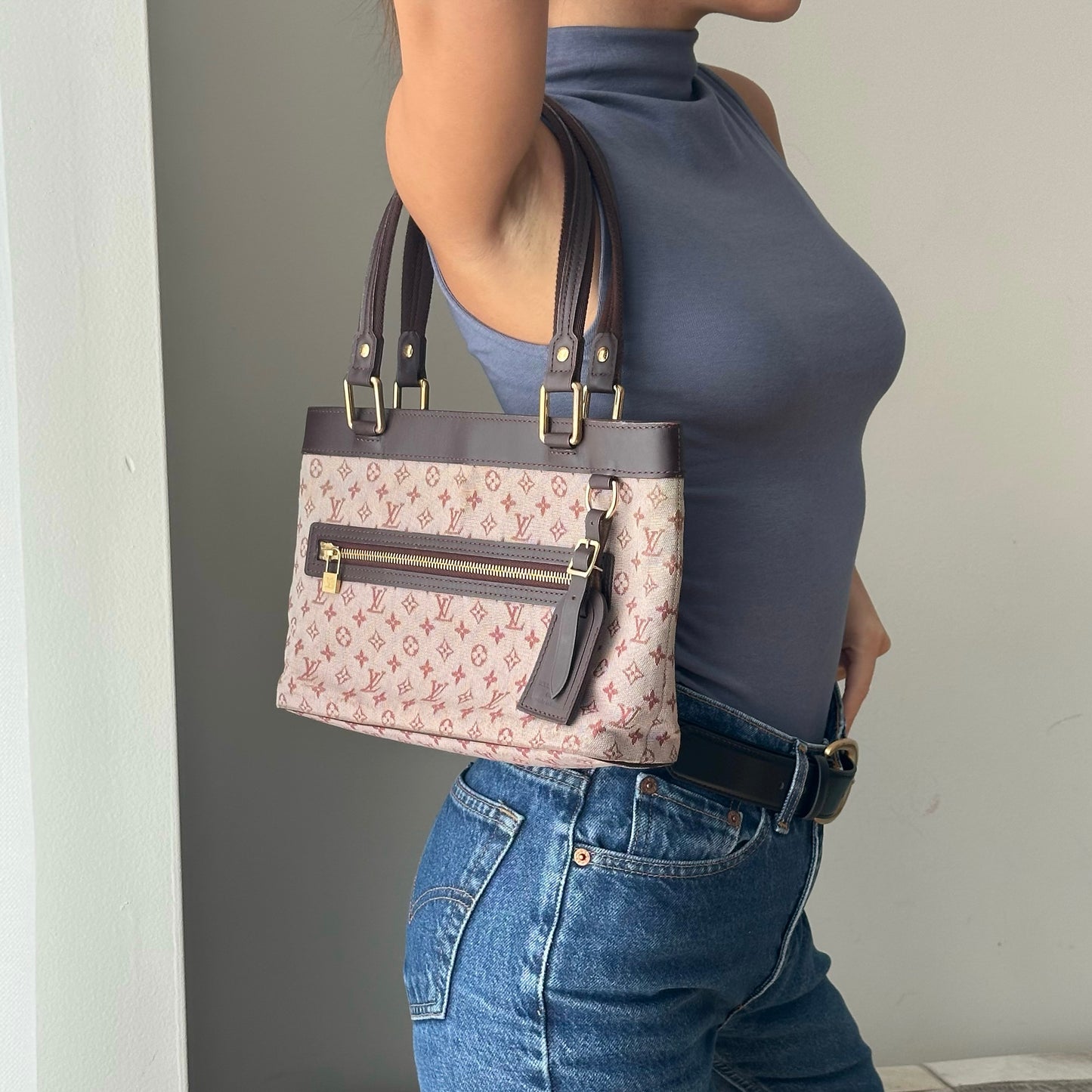 Louis Vuitton Monogram Mini Lin Sac Lucie PM Bag