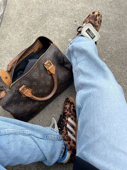 Louis Vuitton Brown Monogram Speedy 25